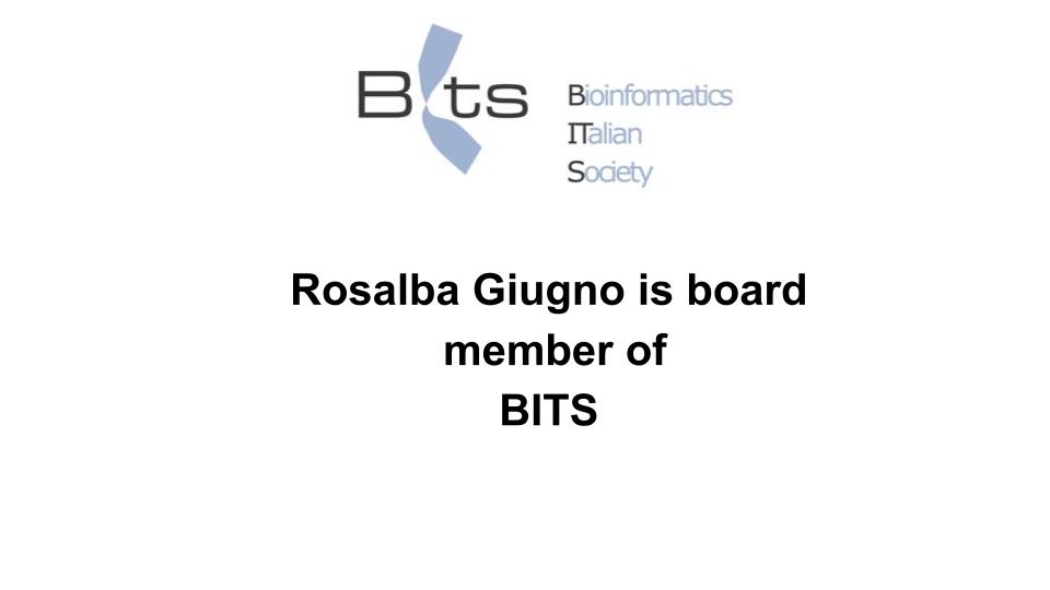 BITS_board.jpg